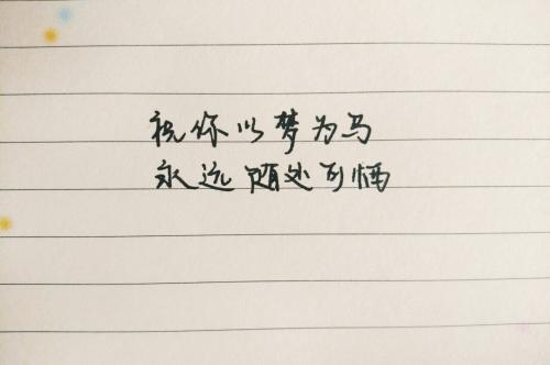 最新暖心情话短句