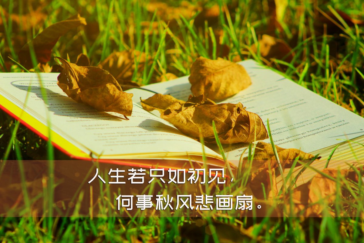 最新一句简单心情说说