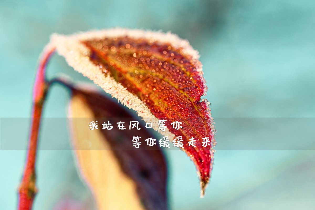 最新一句简单心情说说