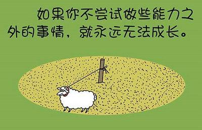 哲思句子摘抄加赏析