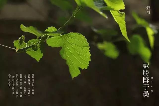 谷雨发朋友圈的话