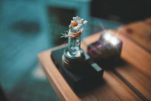 如何调整自己的抑郁心情
