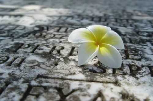 夜晚的倾诉