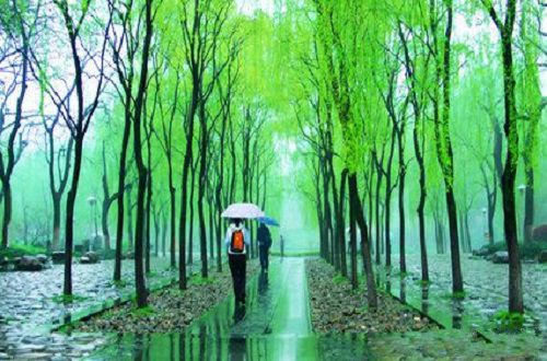 晓梦未觉春雨寒