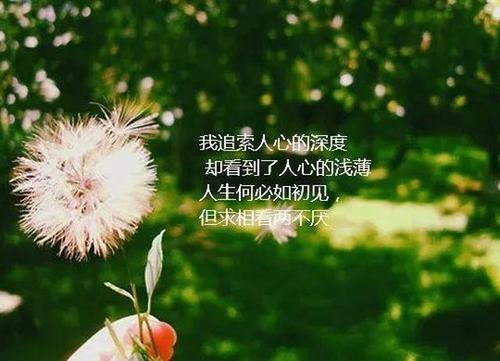 适合发人生的短句