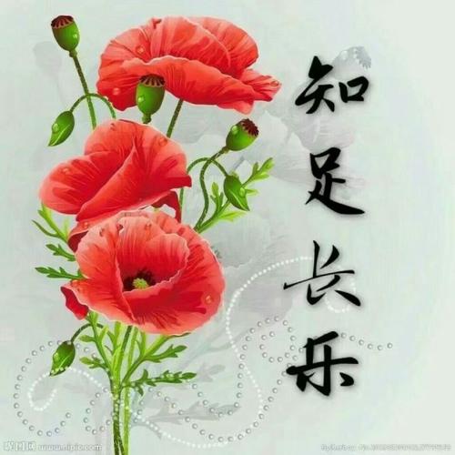 一些感悟人生的好句子