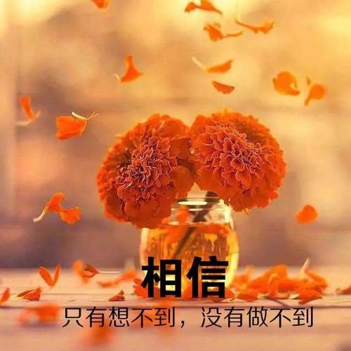 一些感悟人生的好句子