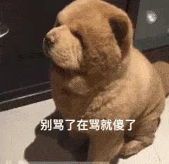 沙雕女孩发的沙雕说说