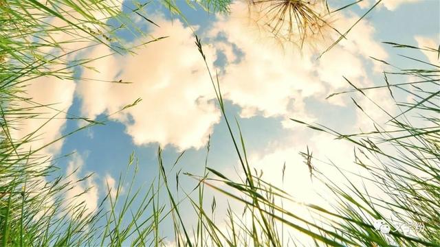 情感伤感文案致自己(伤感的感情文案)