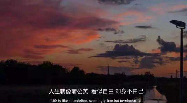 情感文案馆熬过去就是巅峰(情感文案sitezhihu)