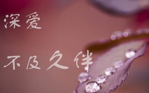 撩妹成语接龙
