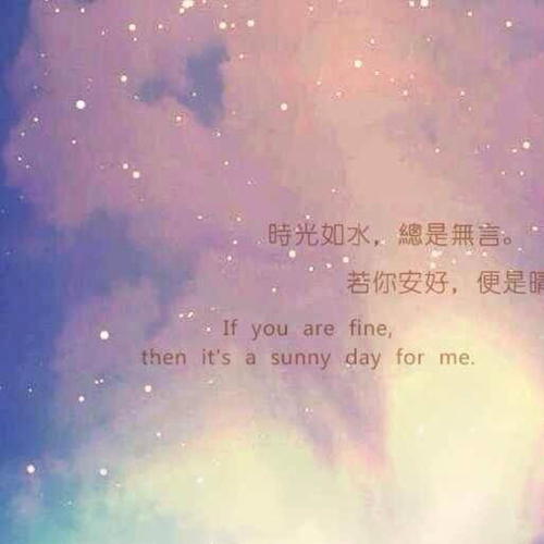 唯美情感语录微博