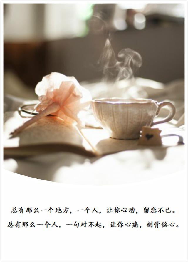 经典情感语录微博