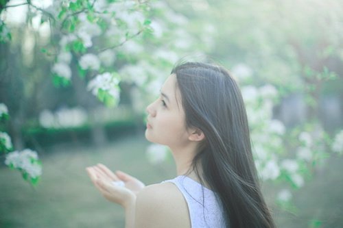 情感语录下载软件