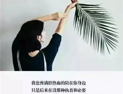 情感语录封面配图