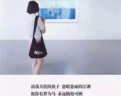 国内作者经典语录
