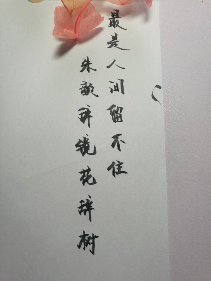 土味社会语录押韵