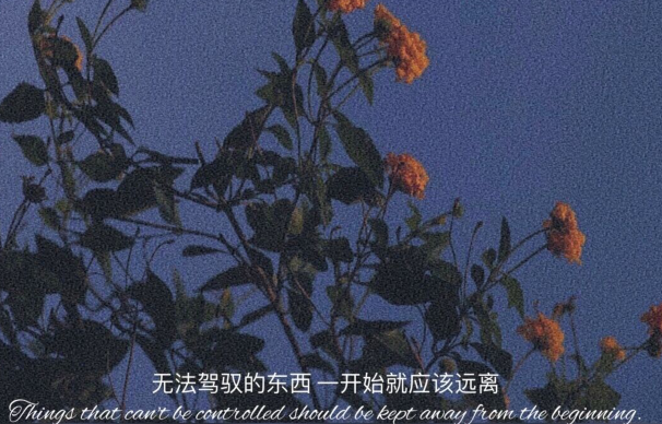 2020最走心的经典句子