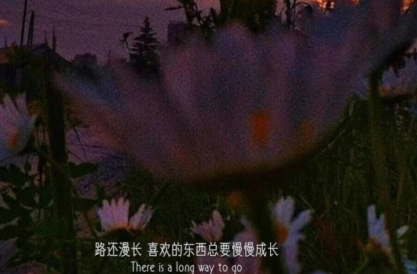 2020最走心的经典句子