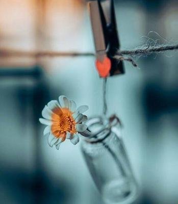 精神经典语录