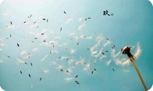 关于苏州园林有关的名句