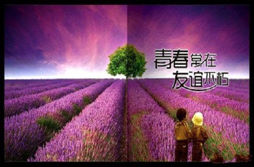 我们的友情纪念册