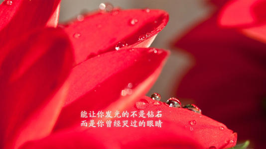 桑塔纳经典语录