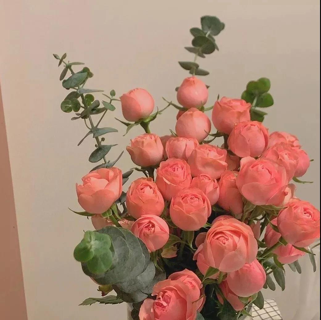 低谷期的救赎治愈朋友圈文案