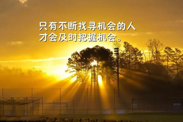 优质语录图片