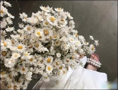 关于青春的励志名人名言大全