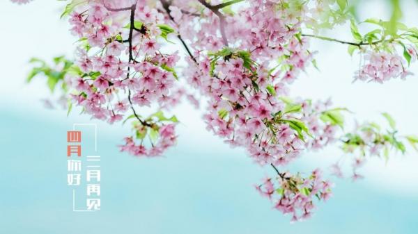 适合三月再见发朋友圈句子