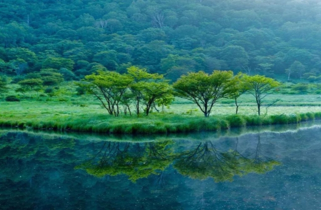 描写秋雨绵绵的唯美句子 适合秋天下雨发朋友圈的说说