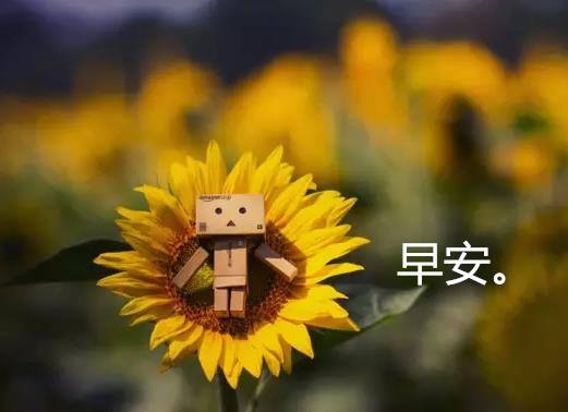 早安语录 暖心