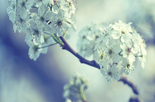 春暖花开等风来