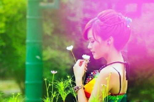 又一季花开