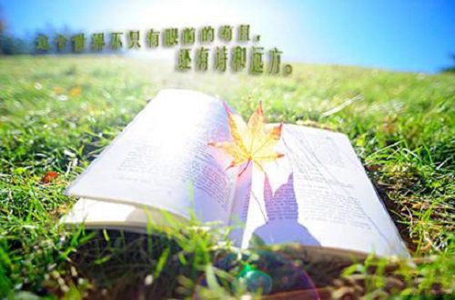 诗和远方与家