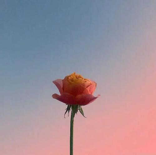 为了生活努力拼搏的说说30句