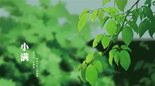 小满说说心情