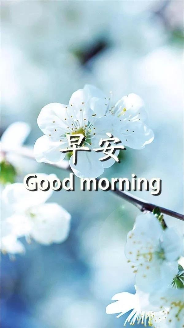 最新早安2021最美图片