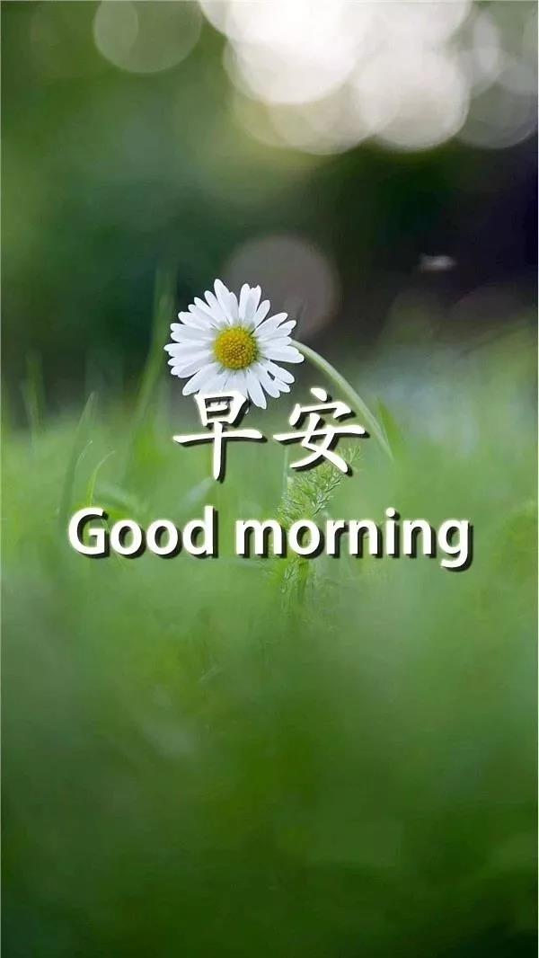 最新早安2021最美图片
