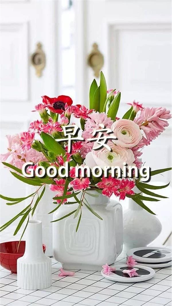 最新早安2021最美图片
