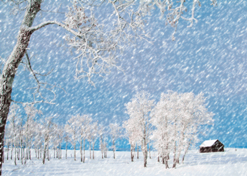 微信朋友圈下雪说说大全30句