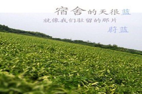 校园宿舍欢乐趣事