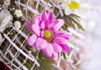 圣诞节简短祝福语一句话 圣诞节早安祝福语