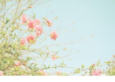 描写家庭温馨的句子 愿别人幸福快乐的句子