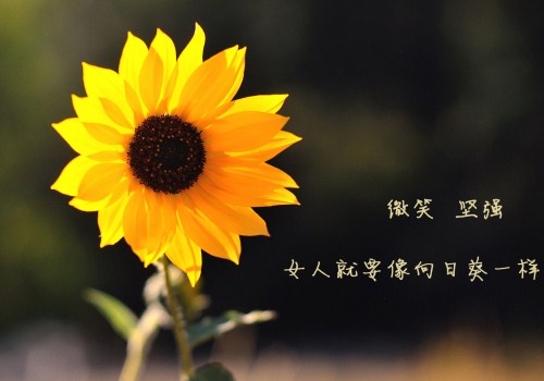 关于工作人生格言座右铭短句