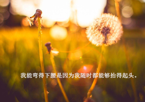 关于工作人生格言座右铭短句