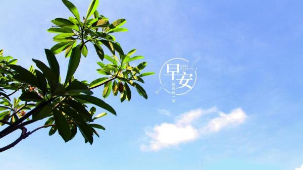 早安你好心情句子