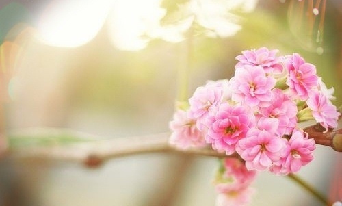 对医护人员感谢的说说 感谢一线医护人员的说说29句
