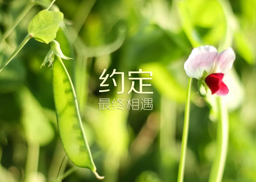 让人必须赞的QQ说说